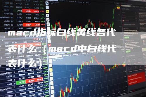 macd指标白线黄线各代表什么（macd中白线代表什么）