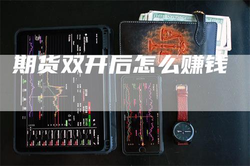 期货双开后怎么赚钱