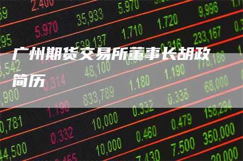 广州期货交易所董事长胡政简历