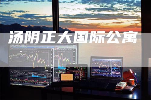 汤阴正大国际公寓