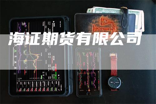 海证期货有限公司
