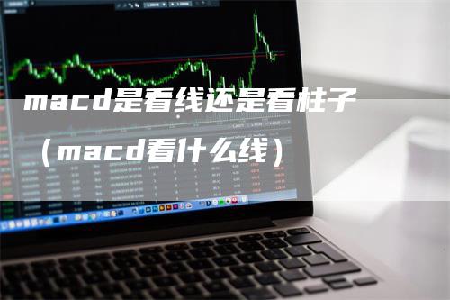 macd是看线还是看柱子（macd看什么线）