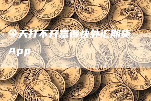今天打不开富得快外汇期货App