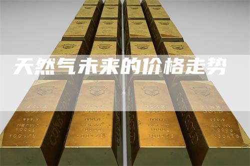 天然气未来的价格走势