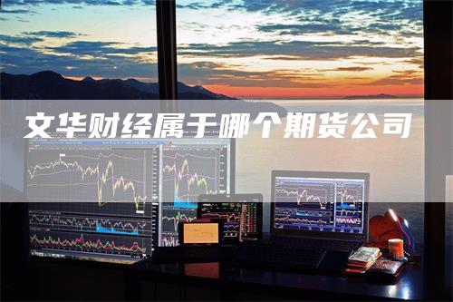 文华财经属于哪个期货公司