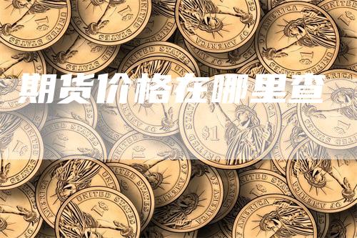 期货价格在哪里查