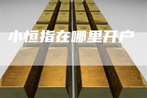 小恒指在哪里开户