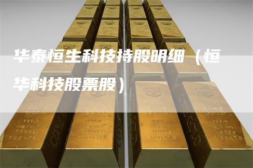 华泰恒生科技持股明细（恒华科技股票股）