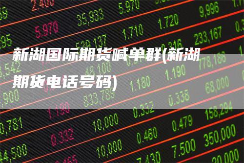 新湖国际期货喊单群(新湖期货电话号码)