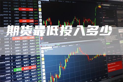 期货最低投入多少