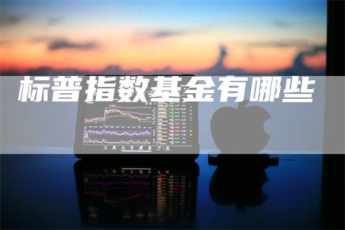 标普指数基金有哪些