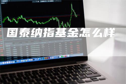 国泰纳指基金怎么样