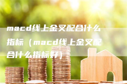 macd线上金叉配合什么指标（macd线上金叉配合什么指标好）