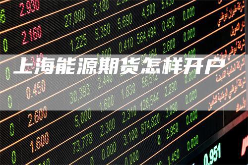上海能源期货怎样开户