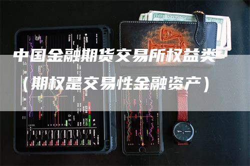 中国金融期货交易所权益类（期权是交易性金融资产）