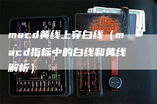 macd黄线上穿白线（macd指标中的白线和黄线解析）