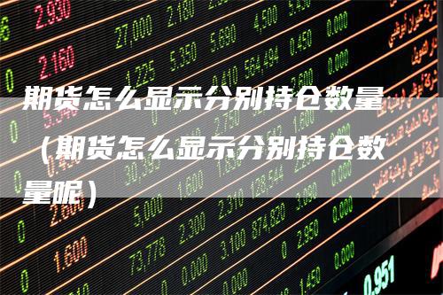 期货怎么显示分别持仓数量（期货怎么显示分别持仓数量呢）
