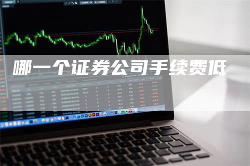 哪一个证券公司手续费低