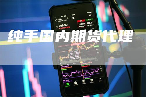 纯手国内期货代理
