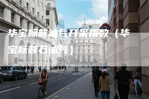 华宝标普油气开采指数（华宝标普石油气）