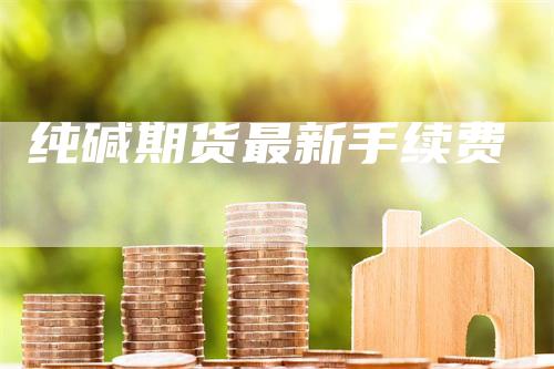 纯碱期货最新手续费