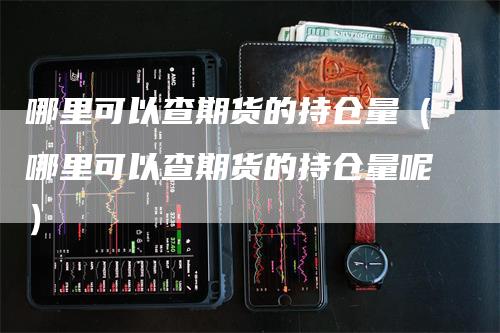 哪里可以查期货的持仓量（哪里可以查期货的持仓量呢）
