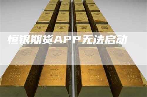 恒银期货APP无法启动