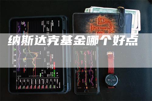 纳斯达克基金哪个好点