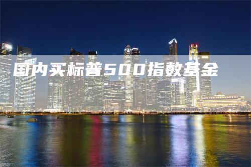 国内买标普500指数基金
