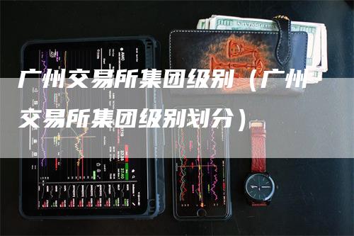广州交易所集团级别（广州交易所集团级别划分）