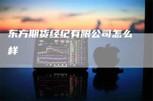 东方期货经纪有限公司怎么样