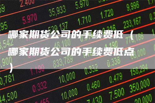 哪家期货公司的手续费低（哪家期货公司的手续费低点）