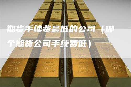 期货手续费最低的公司（哪个期货公司手续费低）