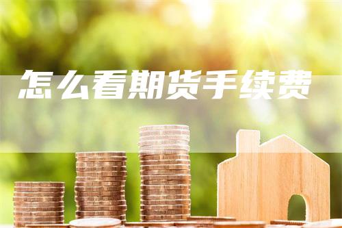 怎么看期货手续费