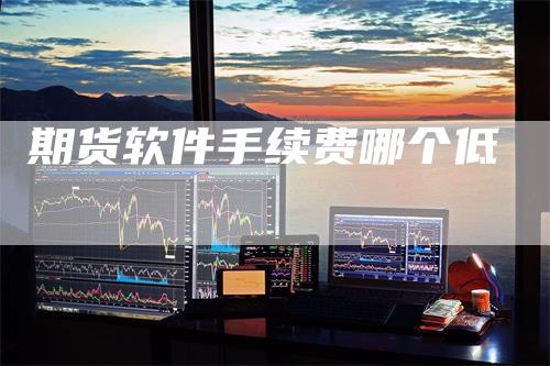 期货软件手续费哪个低