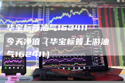 华宝标普油气162411今天净值（华宝标普上游油气162411）