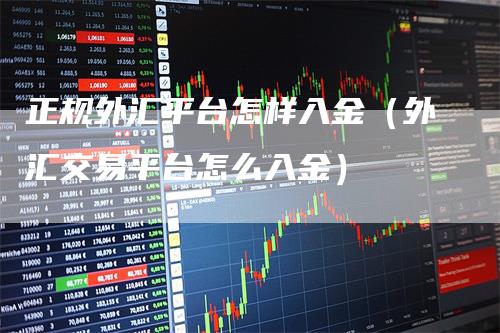正规外汇平台怎样入金（外汇交易平台怎么入金）
