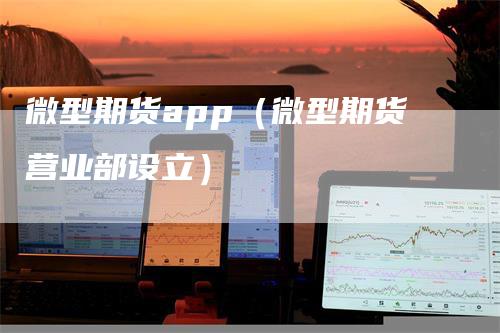 微型期货app（微型期货营业部设立）
