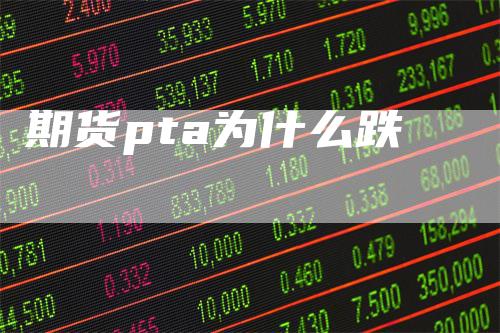 期货pta为什么跌