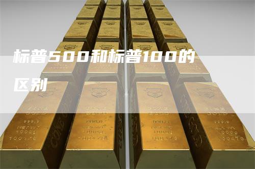 标普500和标普100的区别