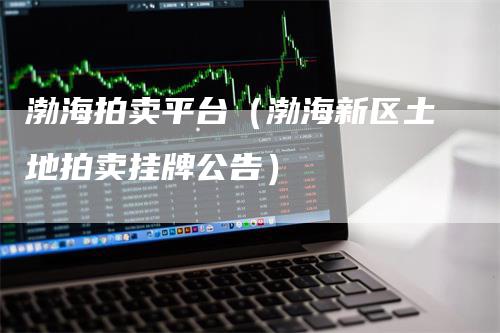 渤海拍卖平台（渤海新区土地拍卖挂牌公告）