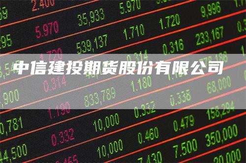 中信建投期货股份有限公司