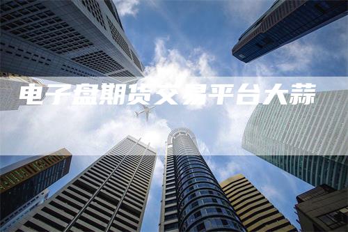 电子盘期货交易平台大蒜