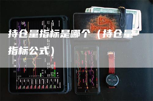 持仓量指标是哪个（持仓量指标公式）