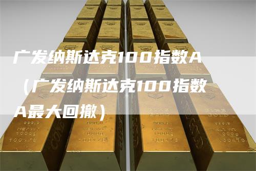 广发纳斯达克100指数A（广发纳斯达克100指数A最大回撤）