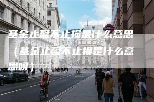 基金止盈不止损是什么意思（基金止盈不止损是什么意思呀）