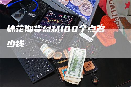 棉花期货盈利100个点多少钱