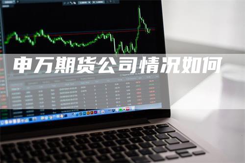 申万期货公司情况如何