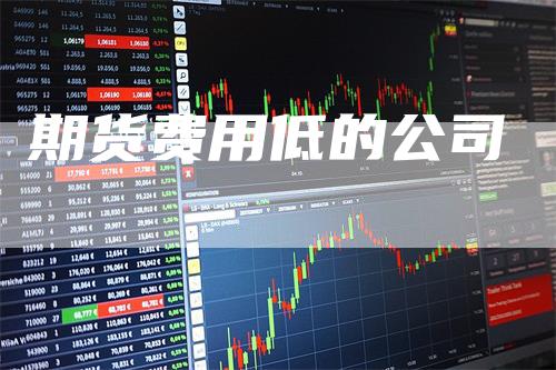 期货费用低的公司