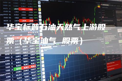 华宝标普石油天然气上游股票（华宝油气 股票）